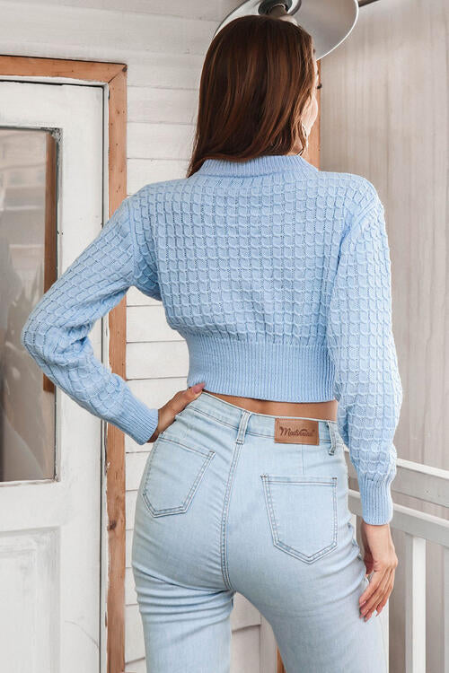 Brynn Round Neck Long Sleeve Cropped Sweater