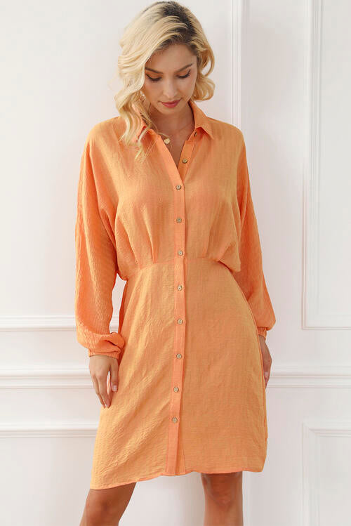 Always Happy Balloon Sleeve Shirt Dress
