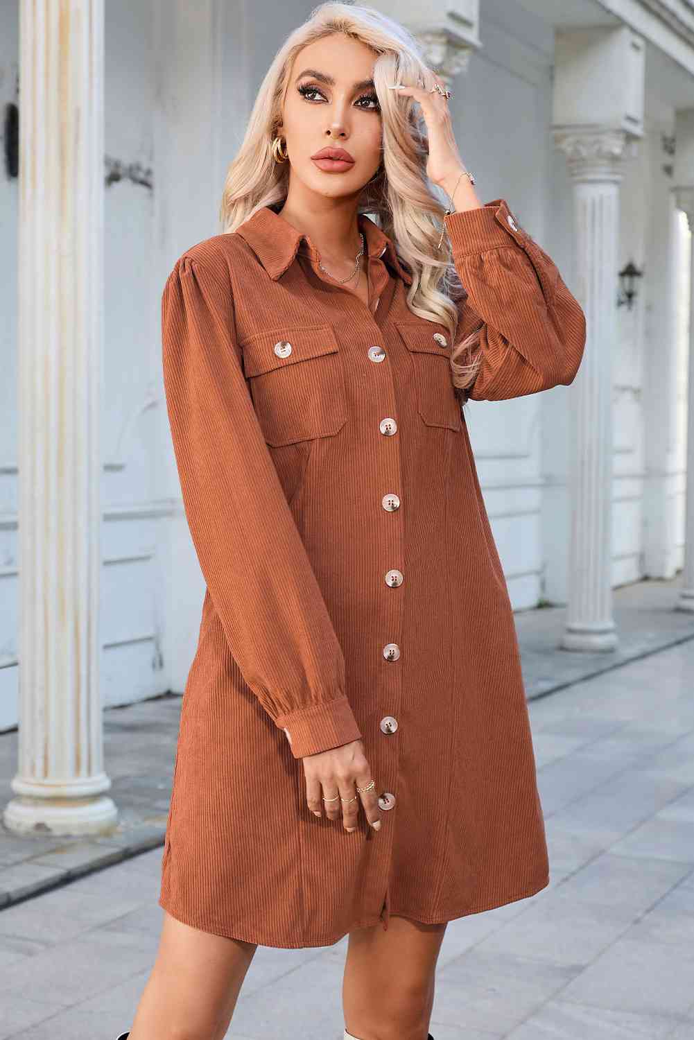 Speak To Me Button Down Mini Dress