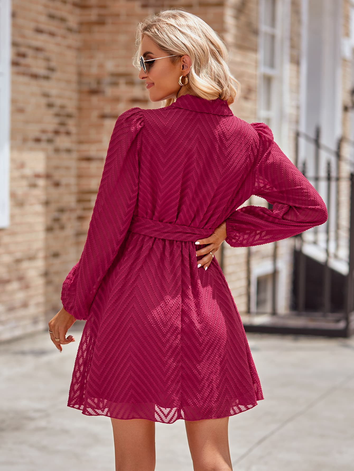 Haley Belted Long Sleeve Mini Dress