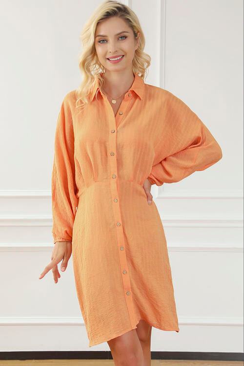 Always Happy Balloon Sleeve Shirt Dress