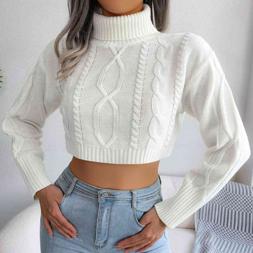 Eve Turtleneck Cropped Sweater