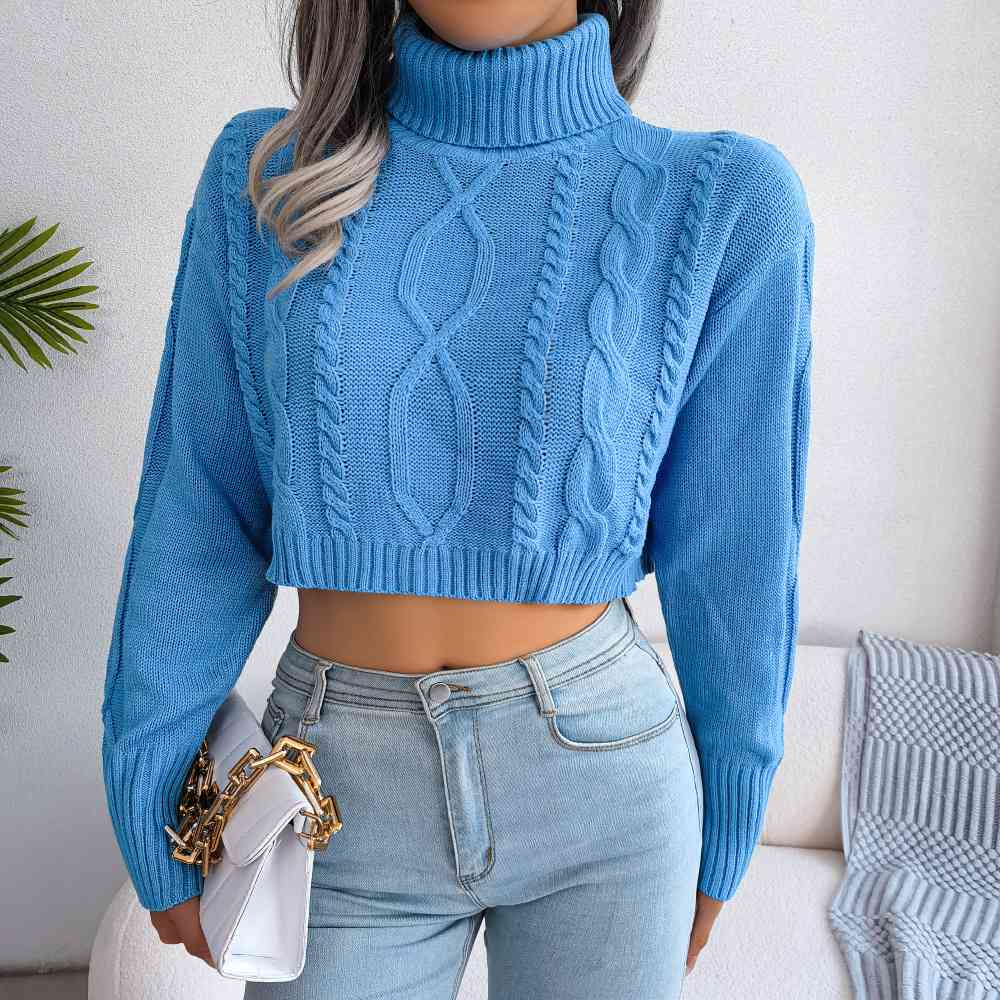 Eve Turtleneck Cropped Sweater