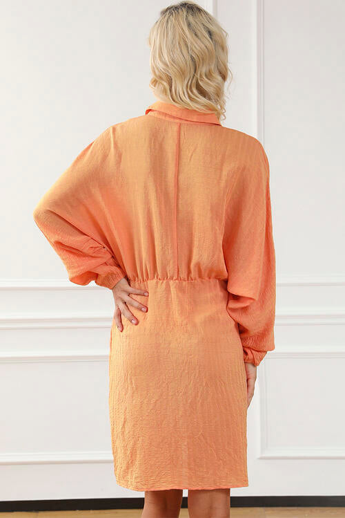 Always Happy Balloon Sleeve Shirt Dress