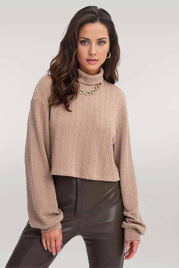 Cozy Up Turtleneck Top