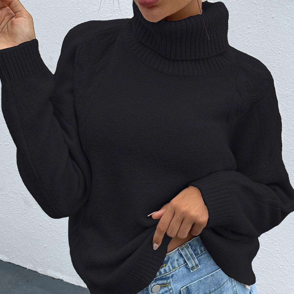 Alessia Turtleneck Long Sleeve Sweater