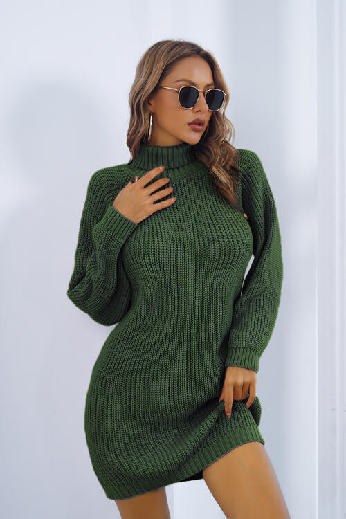 Laila Buttoned Turtleneck Long Sleeve Sweater Dress