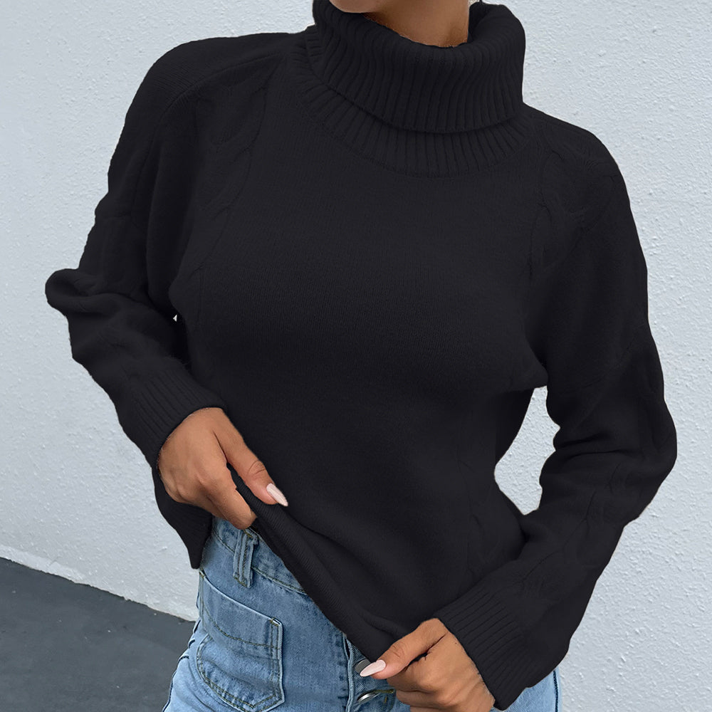 Alessia Turtleneck Long Sleeve Sweater