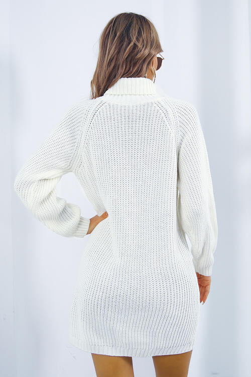 Laila Buttoned Turtleneck Long Sleeve Sweater Dress