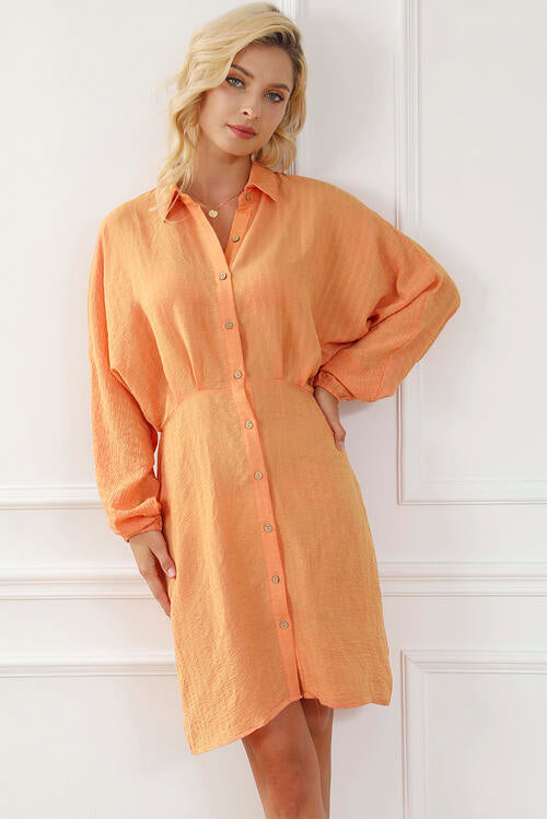 Always Happy Balloon Sleeve Shirt Dress